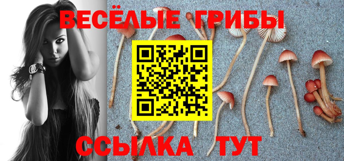 Псилоцибиновые грибы Psilocybe  Галлюциногенные грибы прущие грибы  Вход с VPN  Лабытнанги 