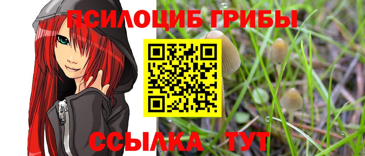 Галлюциногенные грибы мухоморы Лабытнанги